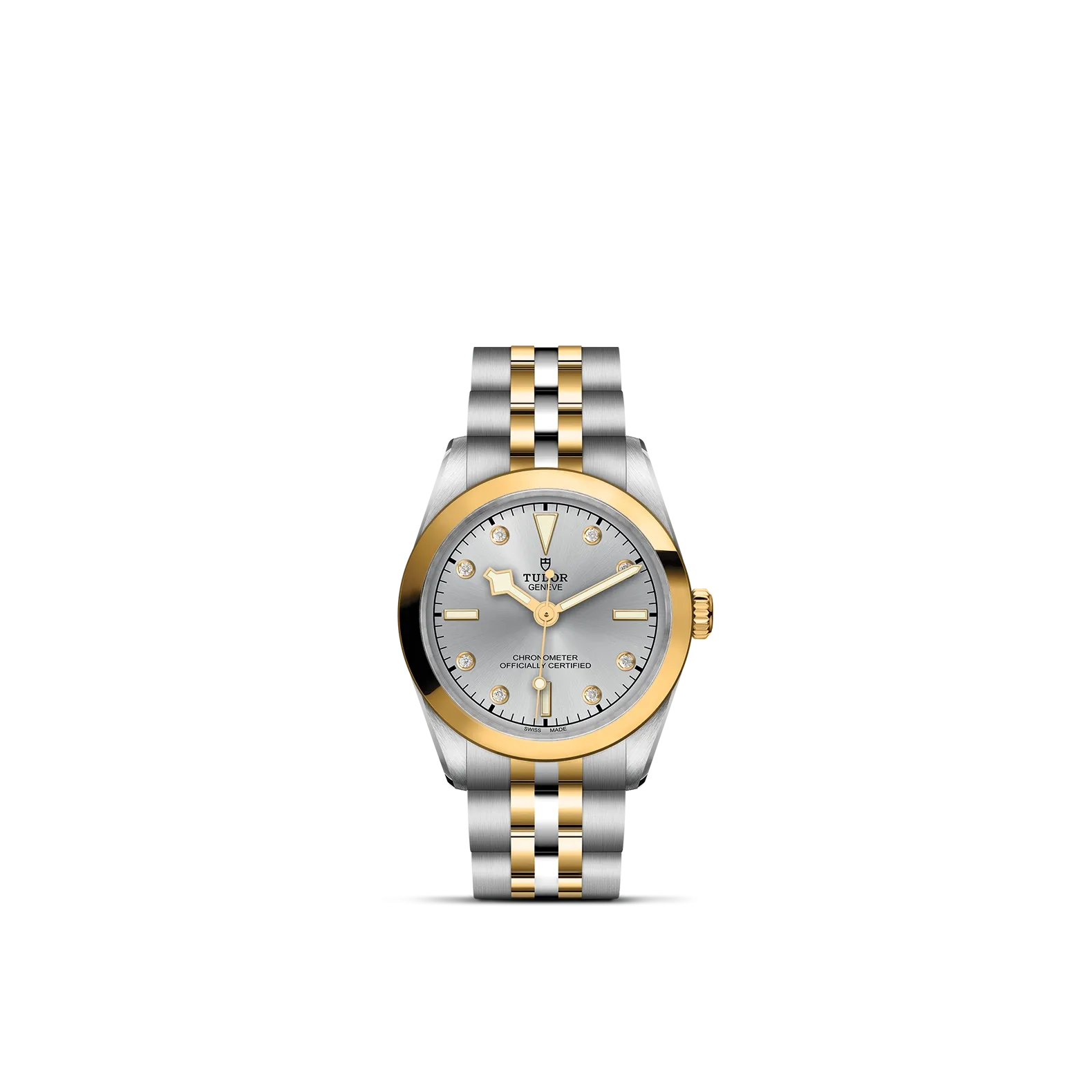 Tudor Black Bay 31